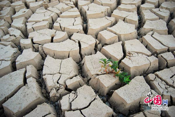 Drought lingers in SW China resort