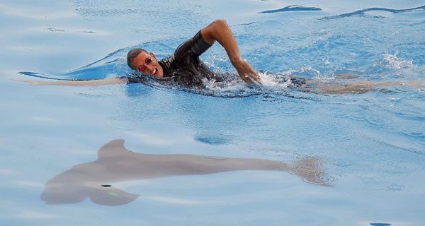 Swimming with dolphins