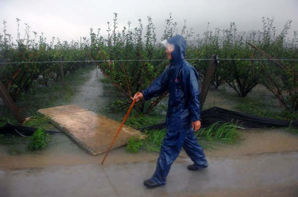 Typhoon Haikui wreaks havoc after landing