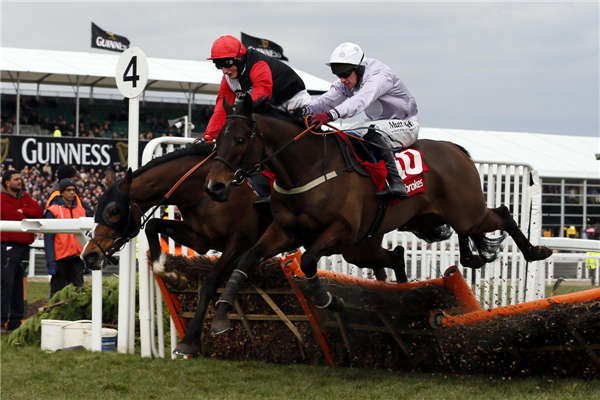 Horse races at Cheltenham Festival