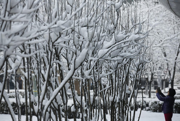 Beijing blanketed by spring snow