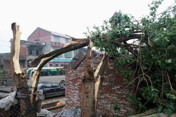 Gales, hailstorms batter villages in SW China