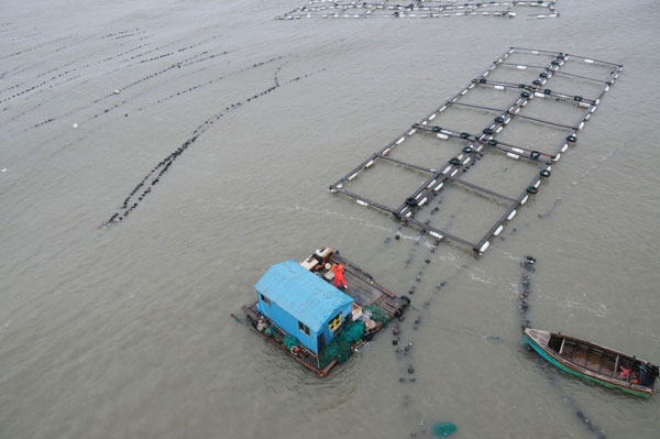 Stranded fishermen rescued in E China