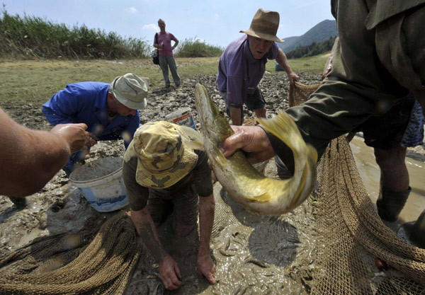 Fish rescued after lake dried up