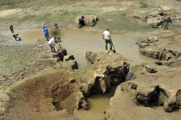 Fish rescued after lake dried up