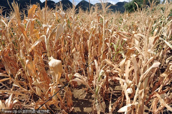 Drought scorches parts of China