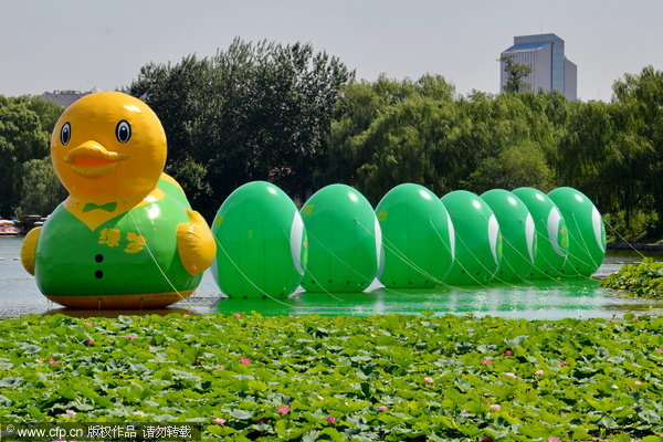 Trials and tribulations of rubber duck