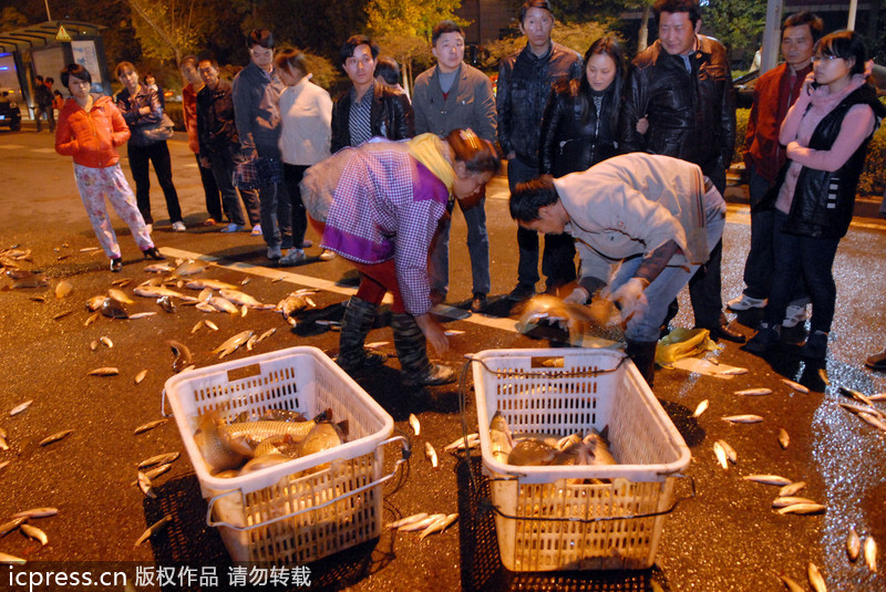 Massive fish spill in C China