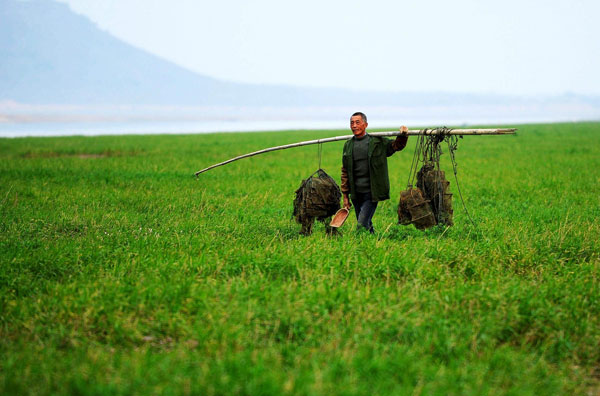 Drought turns lake into grassland