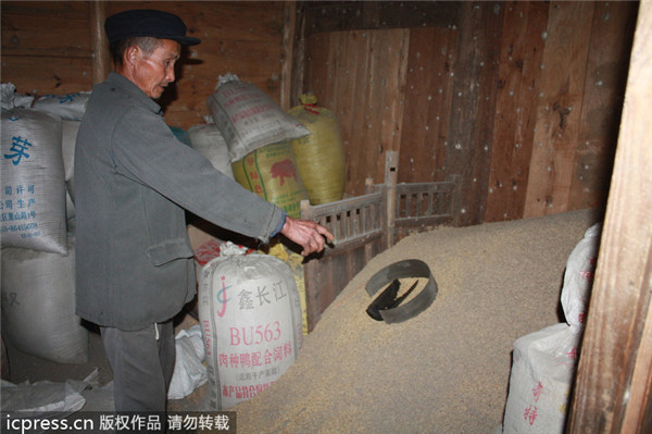 Two houses in C China hit by rocket debris