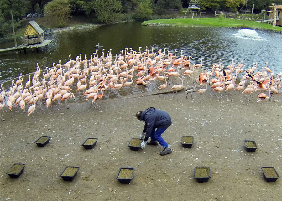 Private Palmyre Zoo in France