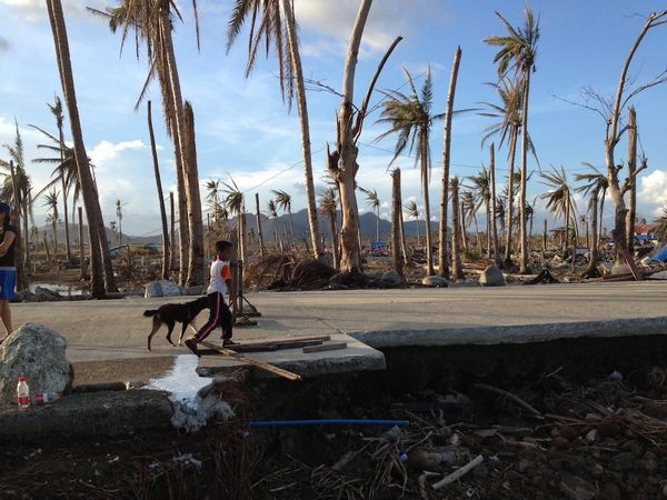 Typhoon-hit Philippines