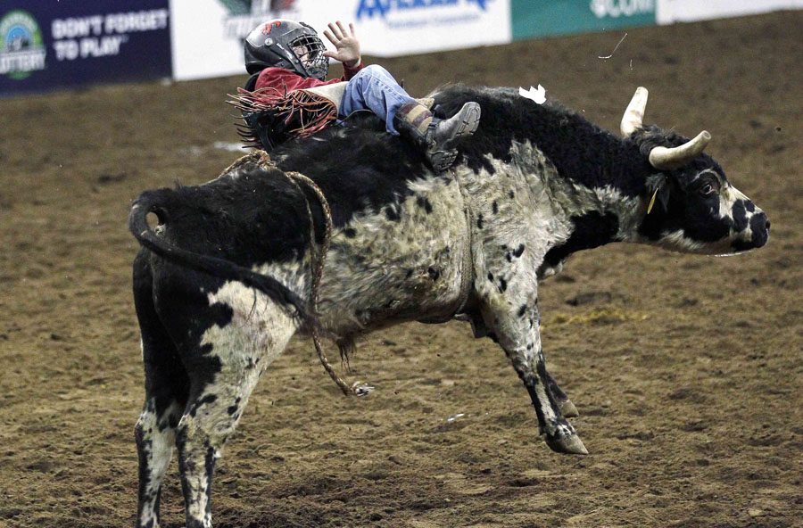 Young riders reign at US stock show