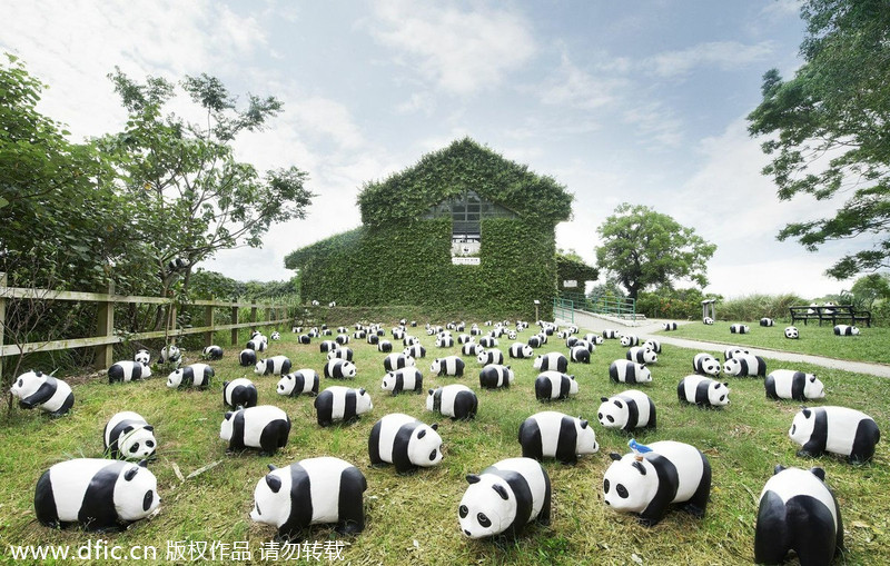 Paper pandas continue tour in Hong Kong