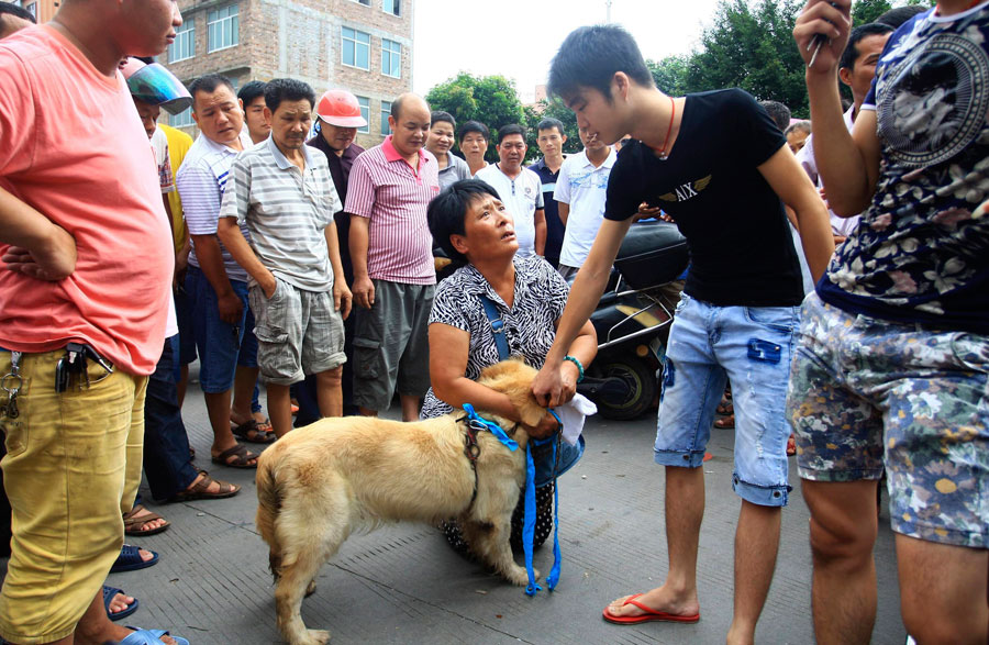 Yulin dog meat vendors make money off activists