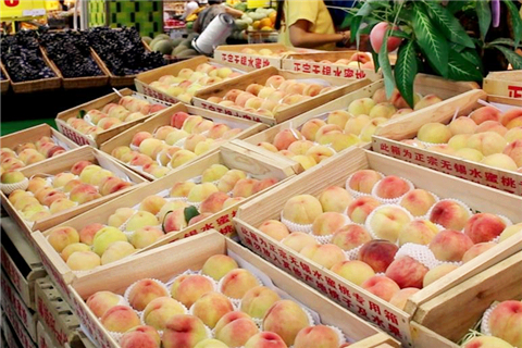 Yangshan honey peach: the real taste of summer