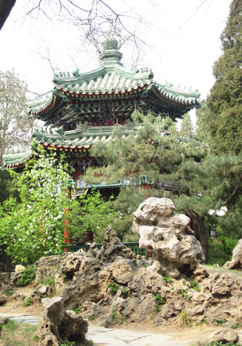 Flower diplomacy in Zhongshan Park