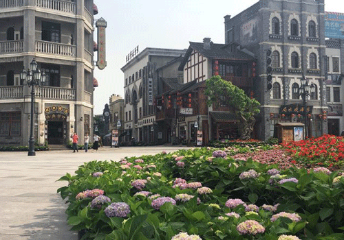 Hydrangea exhibition to open in Liangjiang Intl Movie City