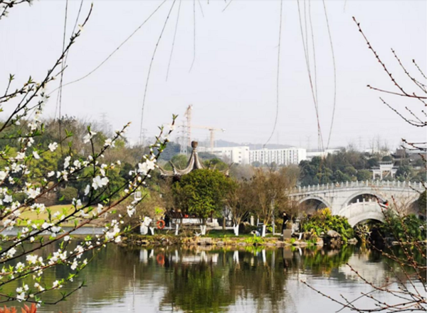 Head out to Liangjiang for memorable spring walks