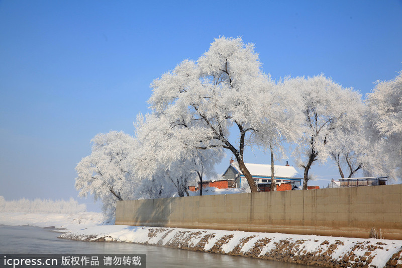 Scenery of rime in NE China