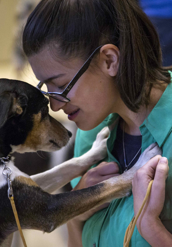 138th Westminster Kennel Club Dog Show to open