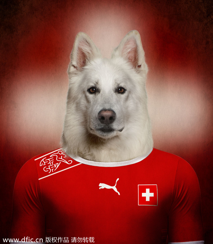 Dogs in national football team jerseys