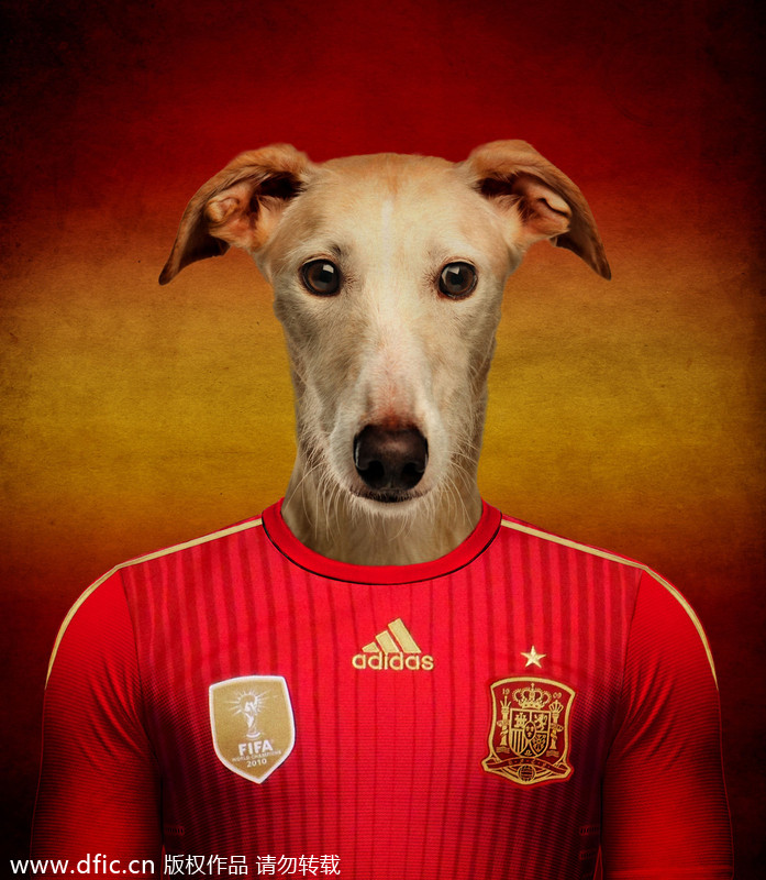 Dogs in national football team jerseys