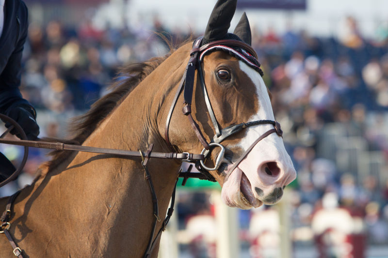 Saudi rider Abdullah Sharbatly claims 5-star event in Shanghai