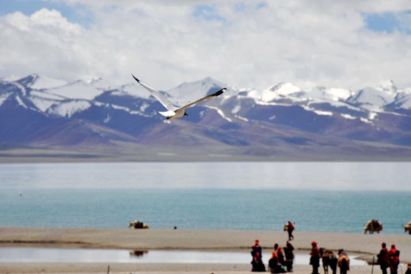 Tibet's transformation seen through reporters' eyes