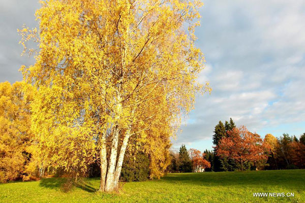 View of Pavlovsk park outside St. Petersburg, Russia