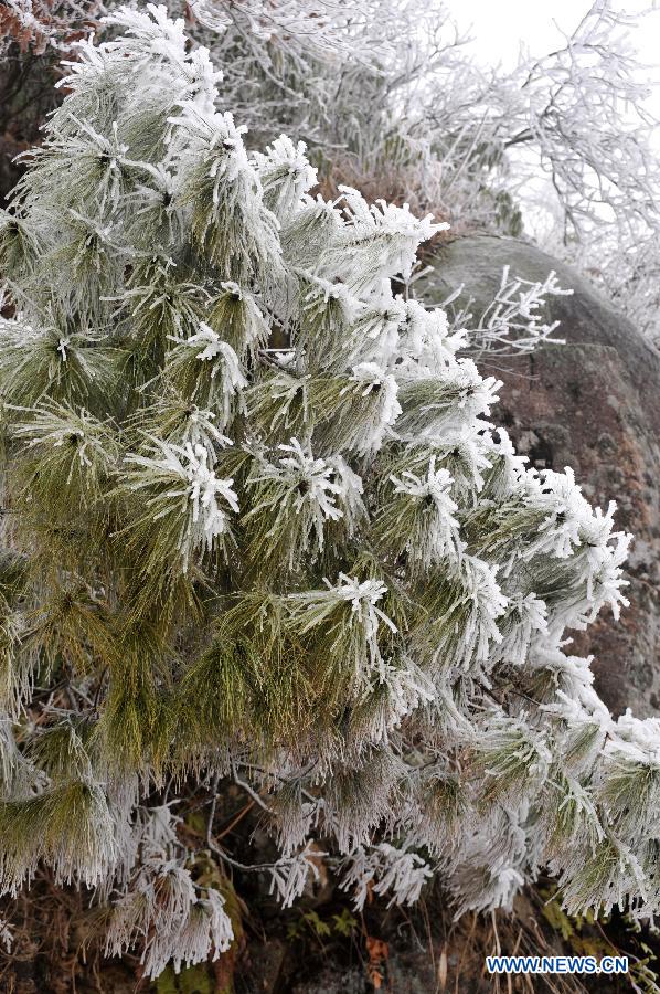 Winter scenery on Mao'er Mountain in S China's Guilin