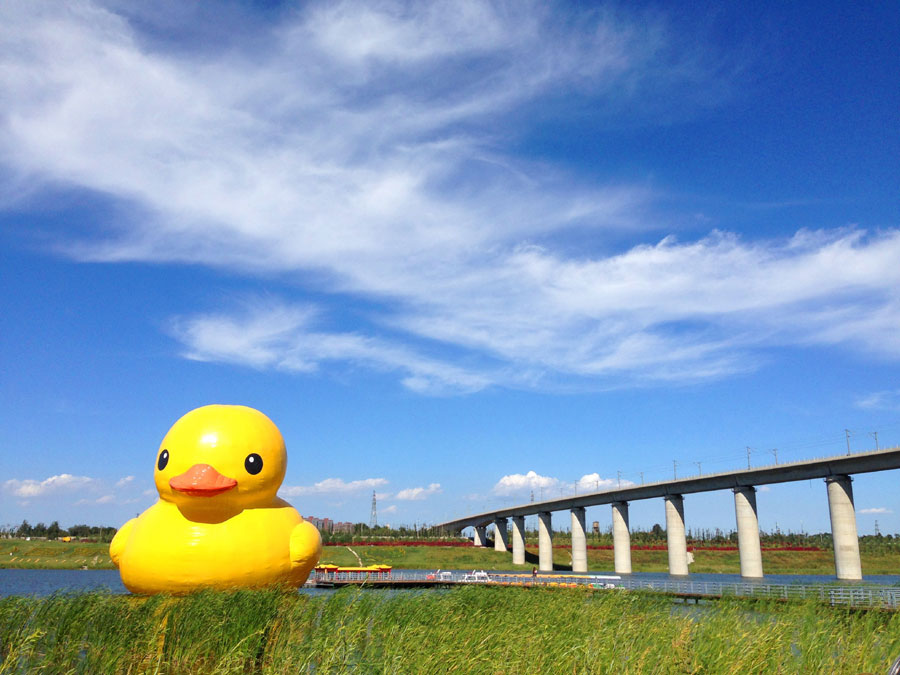 Floating Rubber Duck