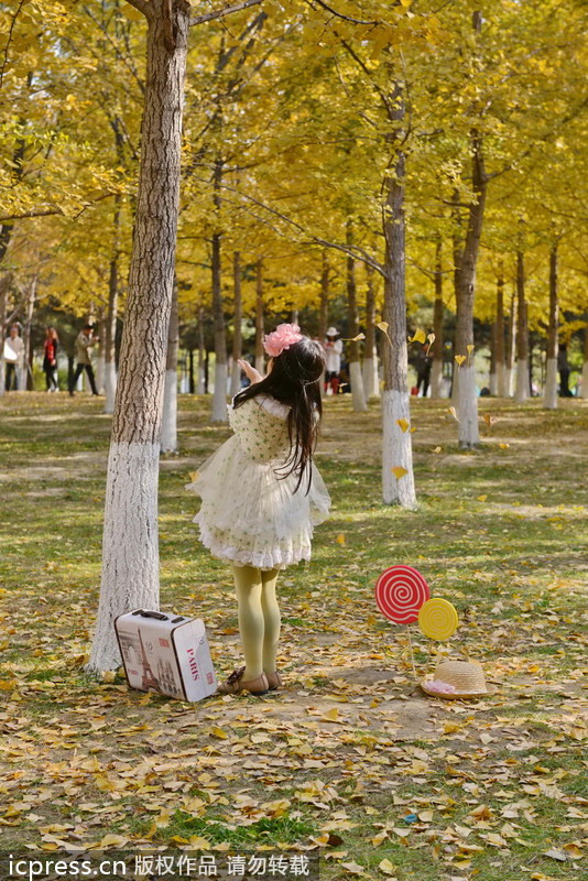 Autumn colors around China