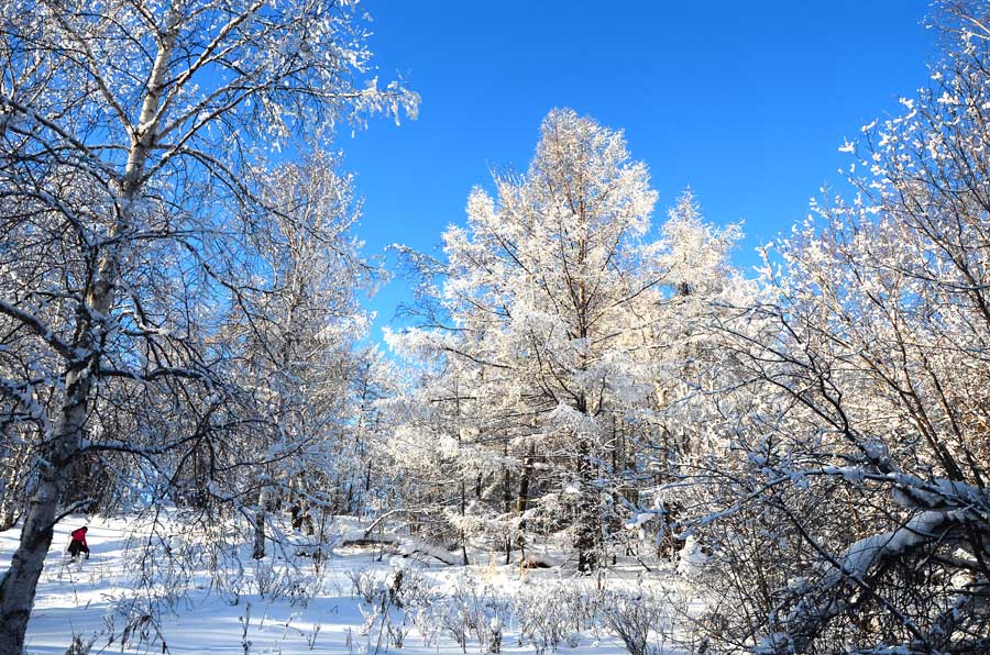 Arxan: Inner Mongolia's winter wonderland