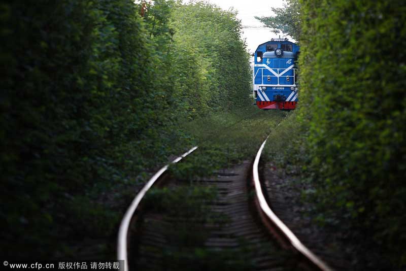 Railway attracts adventurers for photography