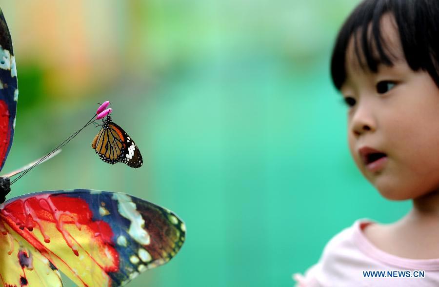 Butterfly carnival held in E China's Anhui