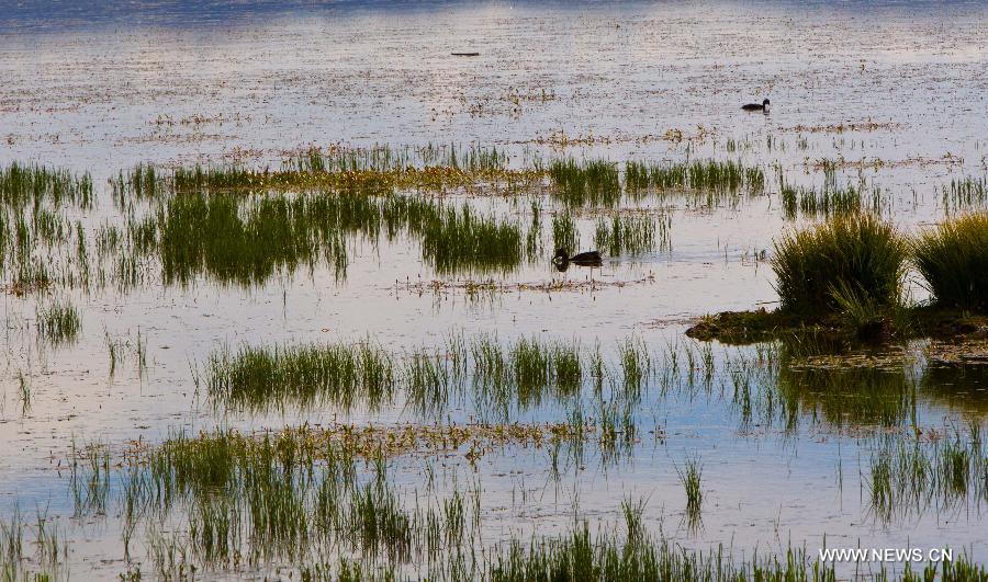 Beauty of Gahai Wetland in NW China's Gansu