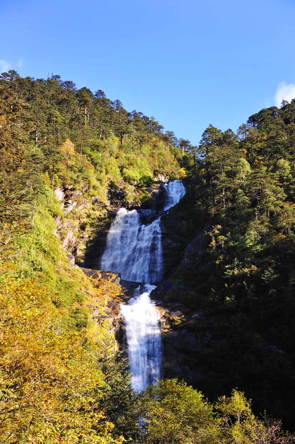 Scenery of Medog county in Tibet