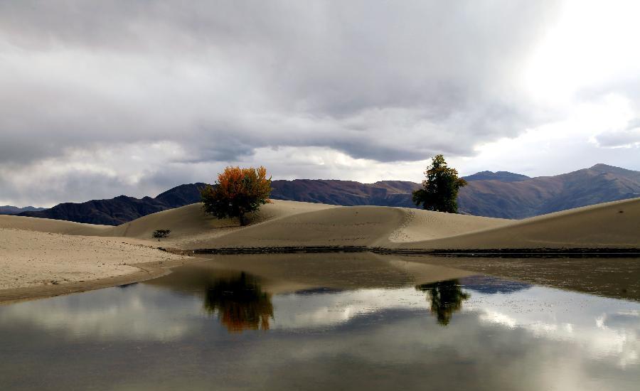 Scenery of tidal wetland in Tibet