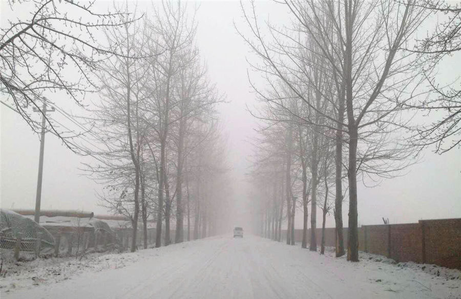 Beijing enjoys first snow