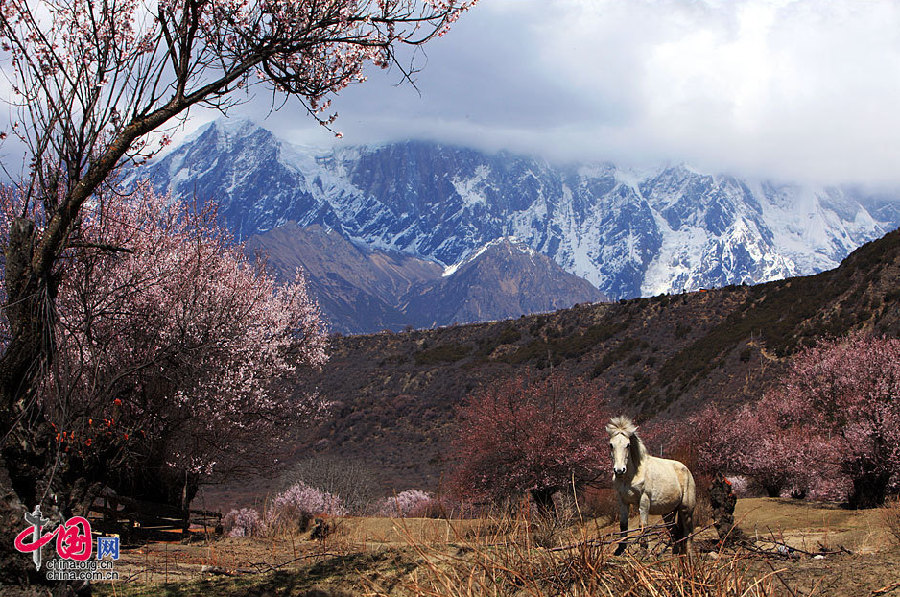 Yarlung Zangbo Grand Canyon in Tibet