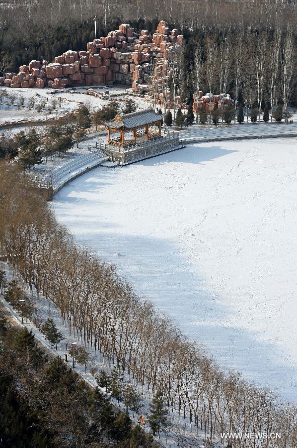 Snow scenery at Forest Park in China's Yinchuan