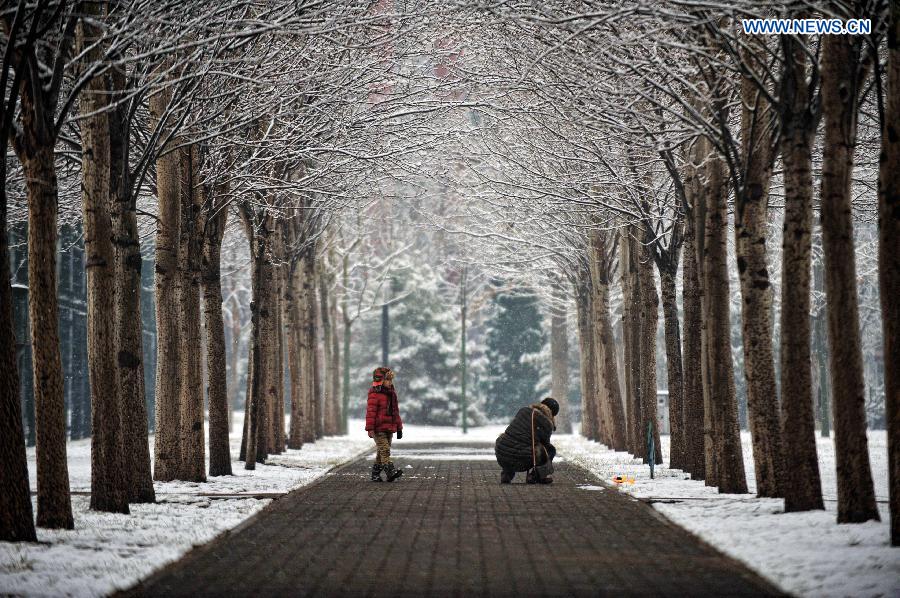 Snowfall hits Beijing amid Spring Festival