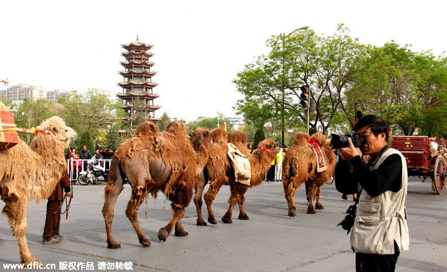 Camel caravan on the Silk Road