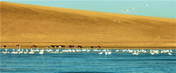 Wulagai, the grassland on the edge of sky