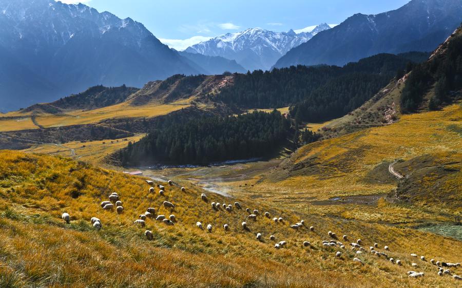 Qilian Mountains, ideal place for an autumn excursion