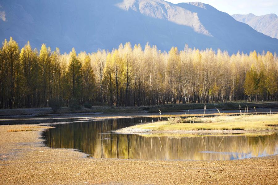 Autumn scenery in Dagze county of Tibet