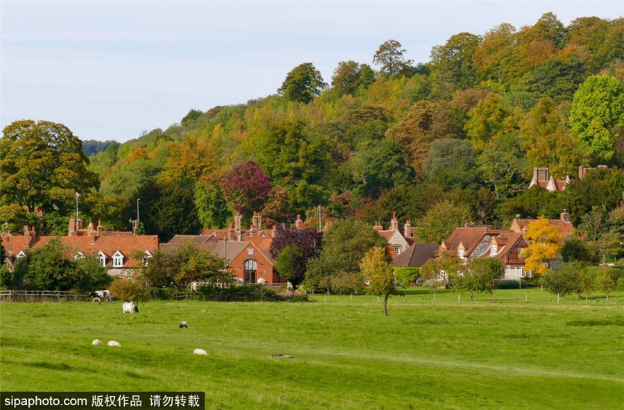 Autumn sees a myriad of colors across Britain