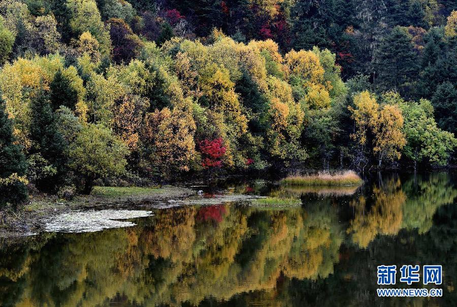 Autumn scenery of China's Shangri-La