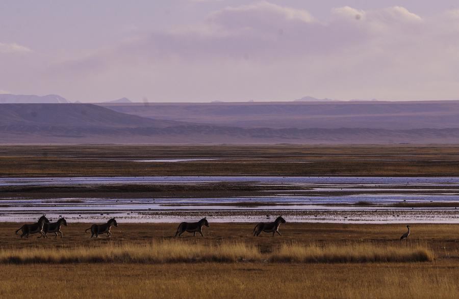 Scenery at Altun Mountains Nature Reserve in Xinjiang